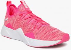 Puma Pink Incite Modern Training Shoes women