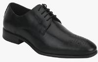 Red Tape Black Formal Shoes boys