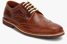 Red Tape Brown Brogue Lifestyle Shoes men