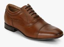 Ruosh Tan Oxford Brogue Formal Shoes men