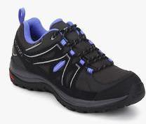 Salomon Ellipse 2 Gtx Black Outdoor Shoes men