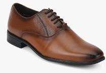 San Frissco Brown Oxford Formal Shoes men