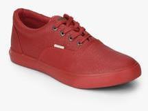 U S Polo Assn Frank Red Sneakers men