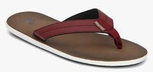 United Colors Of Benetton Maroon Slippers men