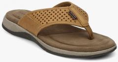 Woodland Camel Brown Comfort Sandals men