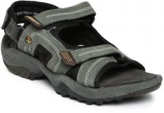 Khaki Sandals - Sandals for Men 7897381 | Myntra - Price History