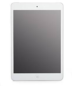 Apple Ipad Mini With Wi Fi + Cellular 16Gb White & Silver