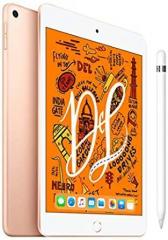 iPad Mini 7.9 inch Wi Fi Only 256 GB Gold+Apple Pencil