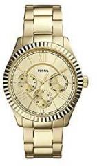 Fossil Analog Gold Dial Men's Watch FS5632