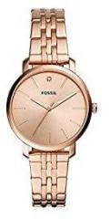 Fossil Lexie Luther Analog Rose Gold Dial Women's Watch BQ3567