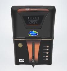 Aqua Ace Mineral + Copper Ro Water Purifier with Copper Charge Technology 12 Litres RO + UV + UF + TDS + Copper Water Purifier